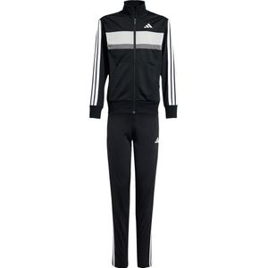 adidas - Trainingspak - Kleurblokken - 100% Polyester - CLIMACOOL