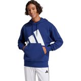 Essentials Big Logo French Terry Hoodie