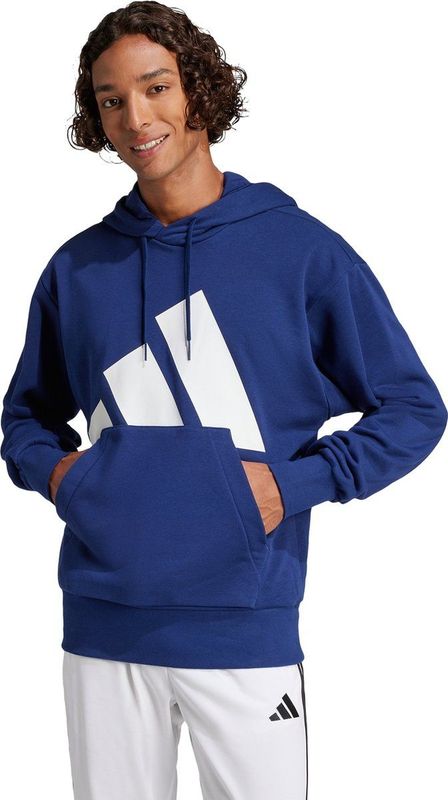 Essentials Big Logo French Terry Hoodie