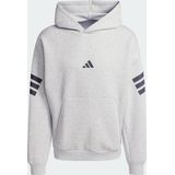 Future Icons 3-Stripes Hoodie