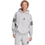 Future Icons 3-Stripes Hoodie