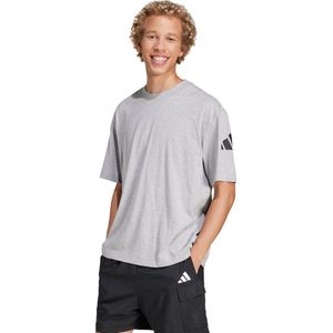 adidas Sportswear Essentials Loose Fit 3 Bar Logo T-shirt - Heren - Grijs