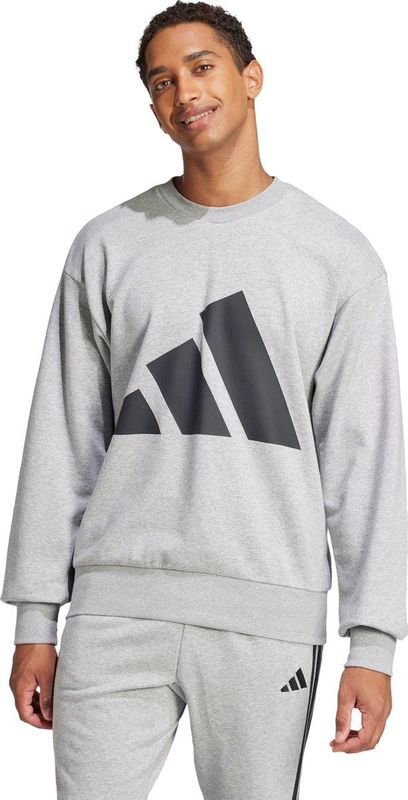 Essentials Big Logo French Terry Sweatshirt