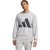 Essentials Big Logo French Terry Sweatshirt