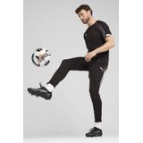 PUMA - IndividualLIGA - Jersey - Zwart/Grijs/Wit - 100% Gerecycled Materiaal, DryCELL Technologie