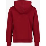 Puma - Ess+ 2 Col Big Logo - Hoodie