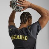 Borussia Dortmund Uitshirt Seizoen 24/25 Volwassenen