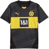 Borussia Dortmund Uitshirt Seizoen 24/25 Volwassenen