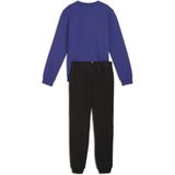 Puma - No.1 Logo - Trainingspak