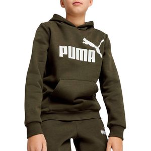 Hoodie - Donkergroen - Katoen en Polyester - Regular Fit met Capuchon