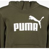 Hoodie - Donkergroen - Katoen en Polyester - Regular Fit met Capuchon