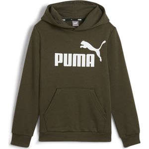 Puma - Classic Hoodie - Grijs - Jersey - Kangoeroezak - Capuchon