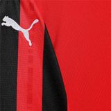 Puma Acm Thuisjersey Replica T Shirt Sportwear Volwassen