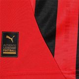 Puma Acm Thuisjersey Replica T Shirt Sportwear Volwassen