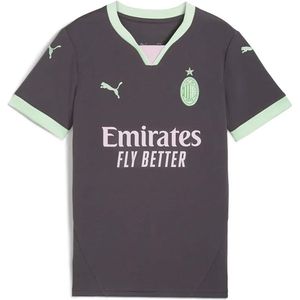 Puma AC Milan 24/25 Ausweichtrikot Teenager Für Für Kinder | Mit Plain | Shadow Gray/Fresh Mint | Größe: 15-16Y