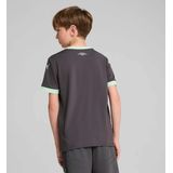 Puma Acm Derde Jersey Replica Jr - Sportwear - Kind