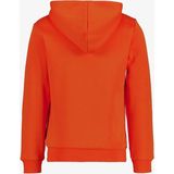 Puma Ess+ 2 Col Big Logo Hoodie