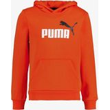 Puma Ess+ 2 Col Big Logo Hoodie