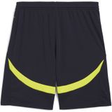 Korte Manchester City 2024/25