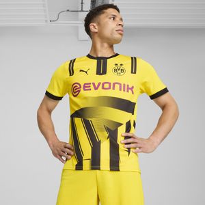 PUMA Borussia Dortmund 24-25 Cup Teamtrikot Herren
