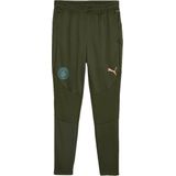 Puma - Manchester City Fc 24/25 - Trainingsbroek - Slim Fit