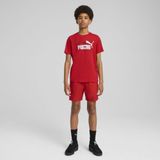PUMA T-Shirt Essentials Logo Lab Summer T-Shirt Jungen