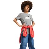 PUMA - Colour No.1-logo T-shirt - Grijs - Katoen