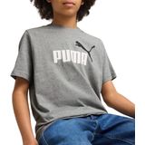 PUMA - Colour No.1-logo T-shirt - Grijs - Katoen