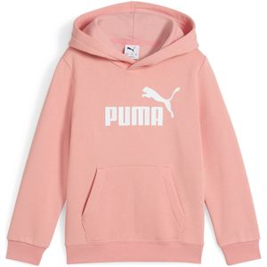 PUMA - Hoodie - Fleece - Grijs - Gemaakt van Gerecyclede Materialen