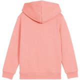 PUMA - Hoodie - Grijs - Fleece - Capuchon - Kangoeroezak