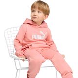 PUMA - Hoodie - Grijs - Fleece - Capuchon - Kangoeroezak