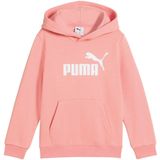 PUMA - Hoodie - Grijs - Fleece - Capuchon - Kangoeroezak