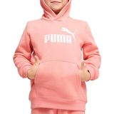 PUMA - Hoodie - Grijs - Fleece - Capuchon - Kangoeroezak