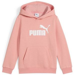 PUMA - No. 1 Hoodie - Fleece - Blauw - Gemaakt van Gerecycled Materiaal