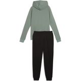 Puma 685077 Trainingspak