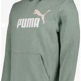 Puma - Essentials Logo Hoodie - Grijs - Gerecycled Materiaal