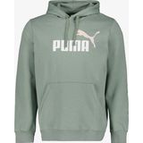 Puma - Essentials Logo Hoodie - Grijs - Gerecycled Materiaal