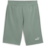 PUMA ESS 2 COLOR No. 1 Logo Shorts 10"" TR Heren sportbroek - Green Moon