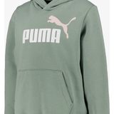 Puma - Essentials Logo Hoodie - Groen - Gerecycled Katoen/Polyester