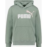 Puma - Essentials Logo Hoodie - Groen - Gerecycled Katoen/Polyester