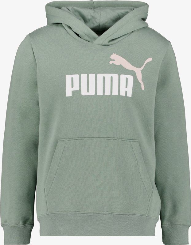Puma - Essentials Logo Hoodie - Groen - Gerecycled Katoen/Polyester