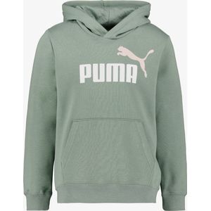 Puma - Essentials Logo Hoodie - Groen - Gerecycled Katoen/Polyester