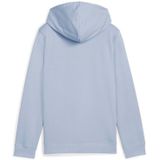 PUMA Kapuzensweatshirt "ESS NO. 1 LOGO HOODIE TR G"