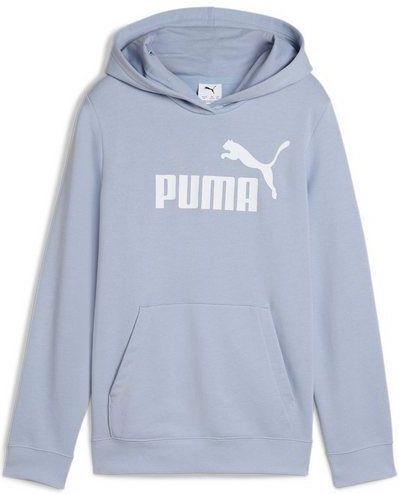 PUMA Kapuzensweatshirt "ESS NO. 1 LOGO HOODIE TR G"
