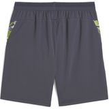 PUMA - IndividualCup - Voetbalshort - Grijs - Polyester
