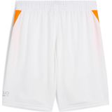 Puma - Individual Training - Korte Broek - Zwart