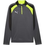 Puma - Individualliga 1/4 Zip Top - Grijs - Vesten