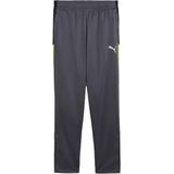 PUMA - individualLIGA - Trainingsbroek - Grijs