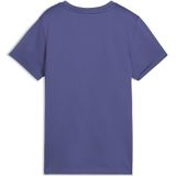 PUMA - ESSENTIAL - Sport T-shirt - Kristalblauw - Polyester