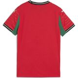 PUMA - Portugal - Thuisshirt - Rood
